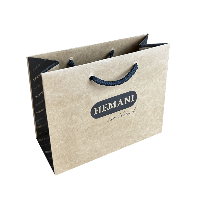 Recyclable brown paper Shopping Bag