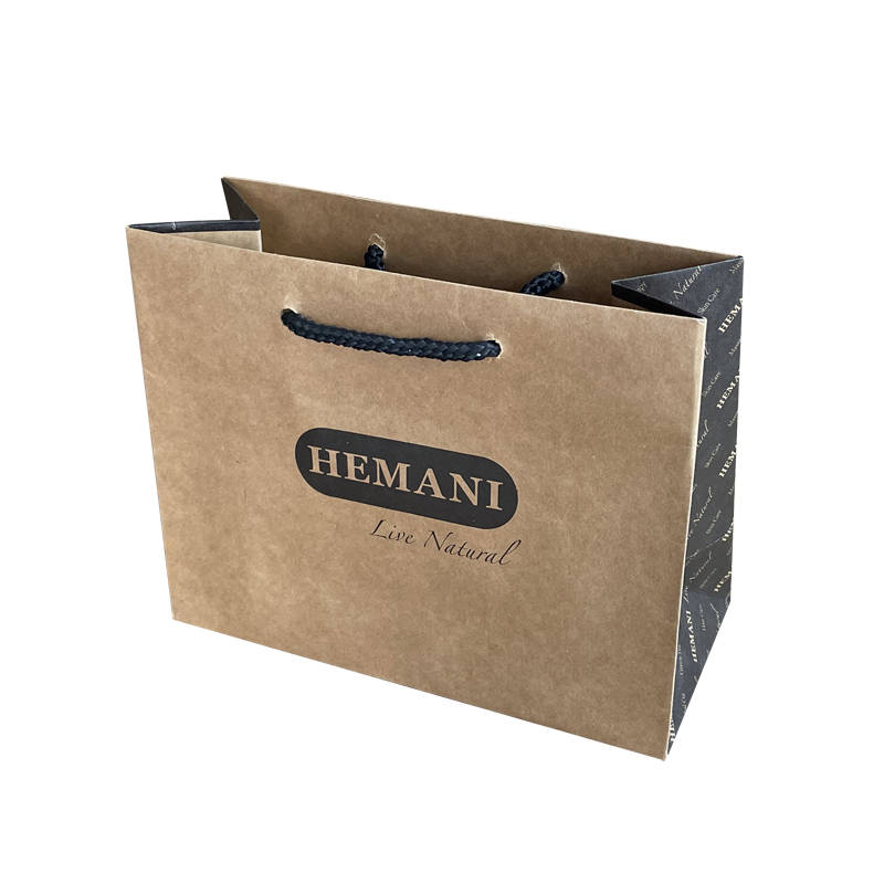 Recyclable brown paper Shopping Bag