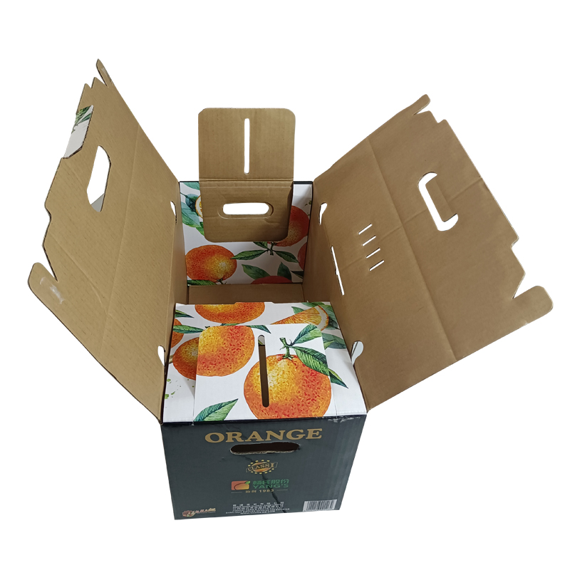 Corrugated Packaging fresh Fruit vegetable Box